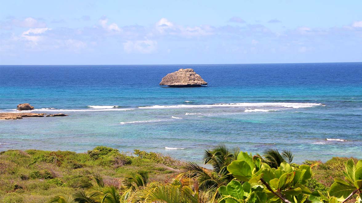 Vue depuis la villa - Villa Caraïbes - Location de villas et maisons en Guadeloupe - www.villacaraibes.fr